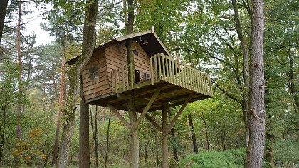 casa_sull_albero_architettura_pixabay_gerdahuiskamp