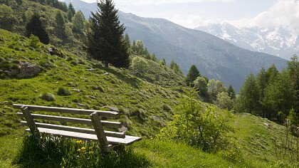 adamello_parco_naturale_iStock