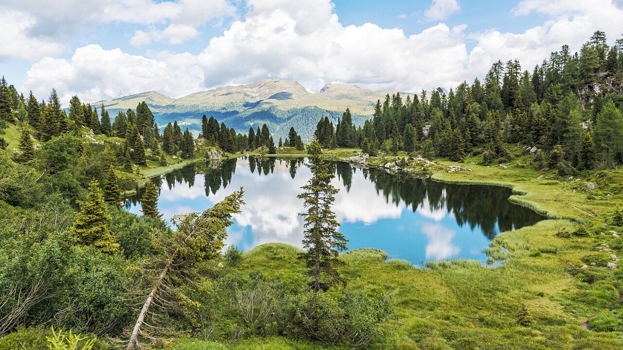 collbricon_passo_rolle_estate_shutterstock