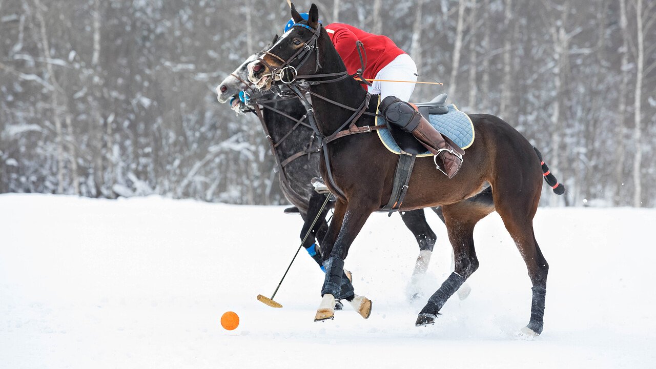 avversari_azione_winter_polo_shutterstock