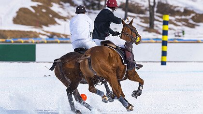 winter_polo_shutterstock