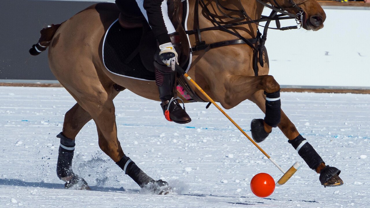 cavallo_mazza_palla_winter_polo_shutterstock