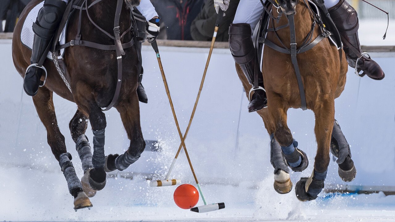 praticare_il_winter_polo_shutterstock