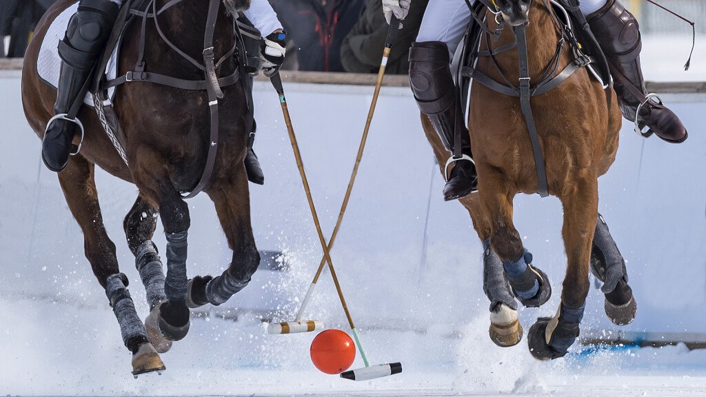 Cavalos Loiros Sorrir Prado Siusi Alpes Trentino Alto Adige Itália