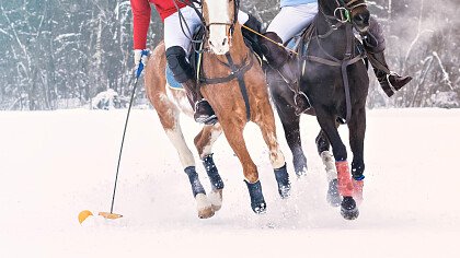 winter_polo_shutterstock