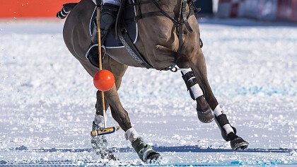 winter_polo_shutterstock