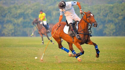 squadre_avversarie_polo_shutterstock