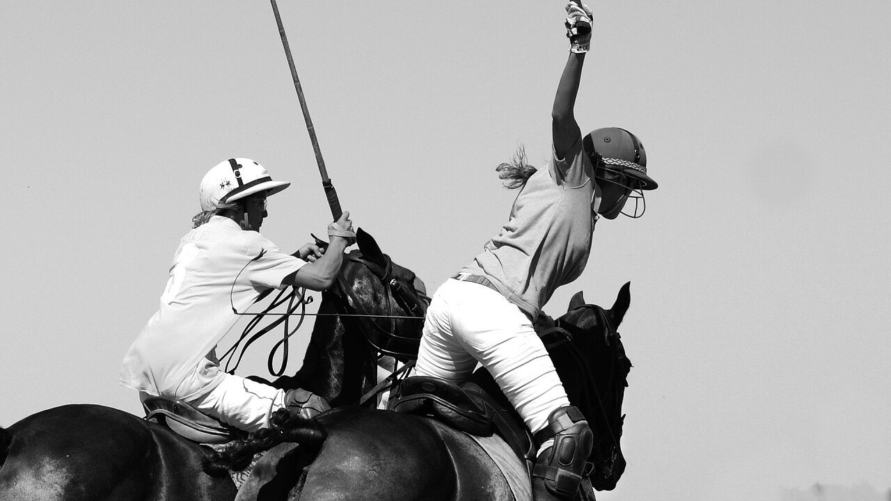 bianco_nero_giocatori_polo_pixabay_prunkova