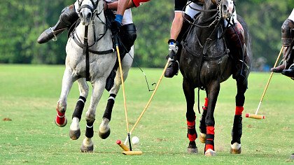 squadre_avversarie_polo_shutterstock