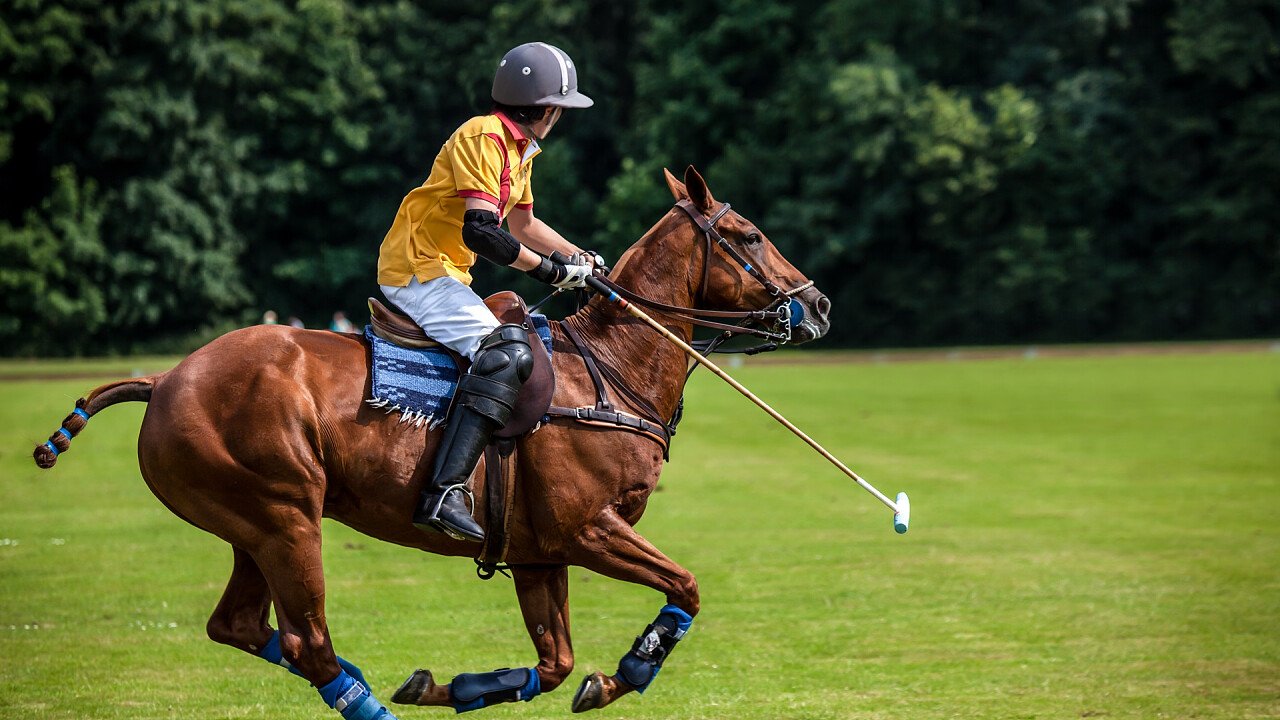 estate_polo_sport_shutterstock