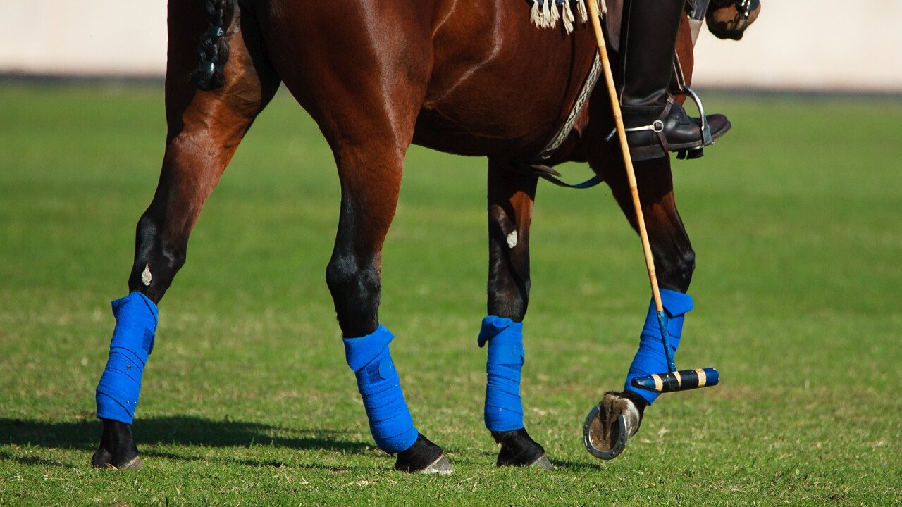 giocare_a_polo_depositphotos