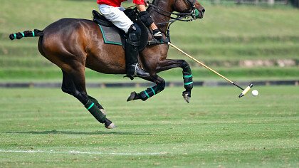 squadre_avversarie_polo_shutterstock