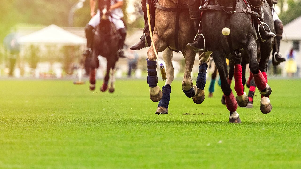 partita_di_polo_shutterstock