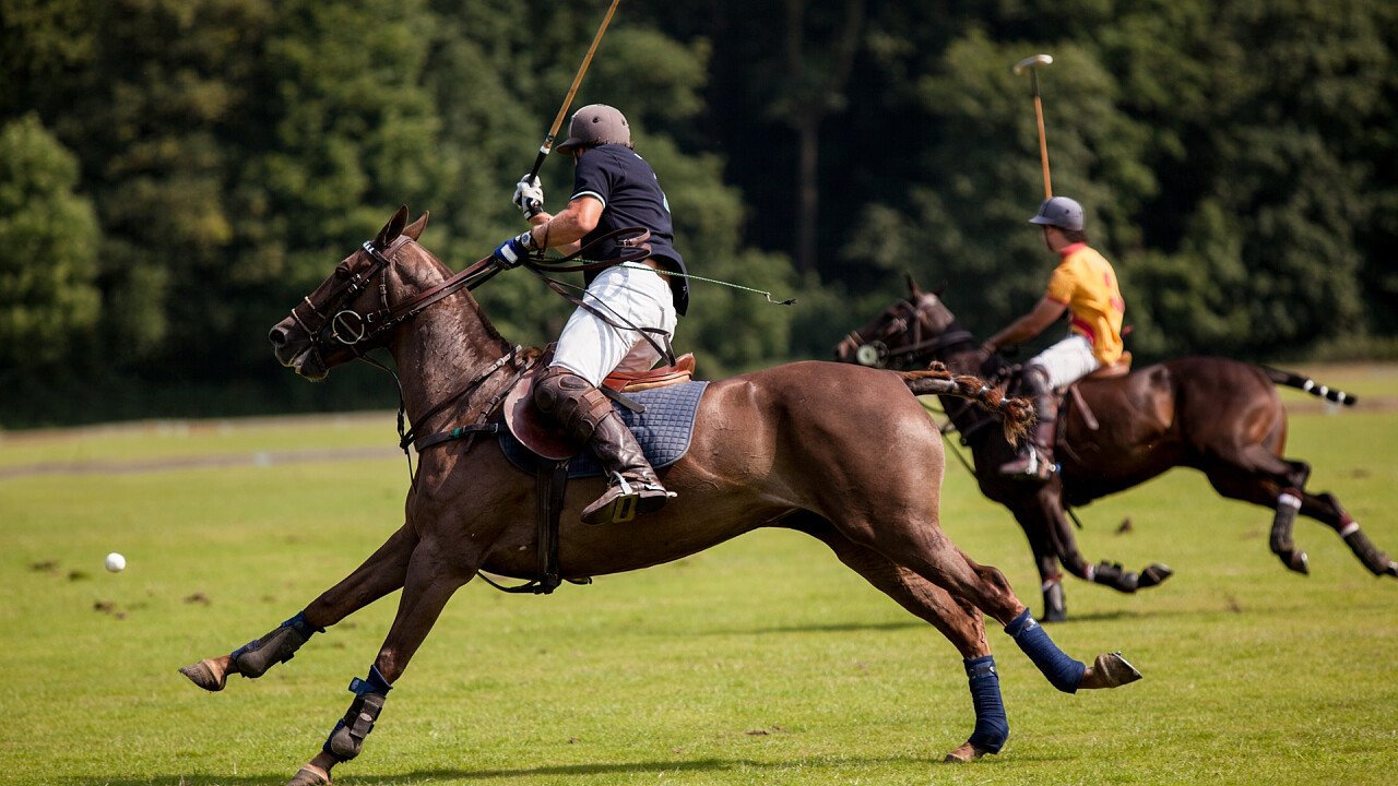 partita_polo_shutterstock