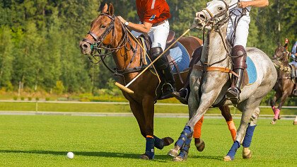 squadre_avversarie_polo_shutterstock