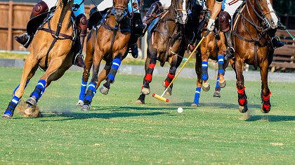 squadre_avversarie_polo_shutterstock