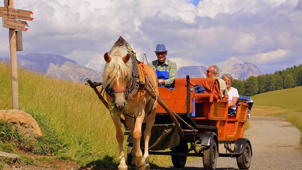 estate_alpe_di_siusi_gita_carrozza_cavalli_pixabay_pcdazero