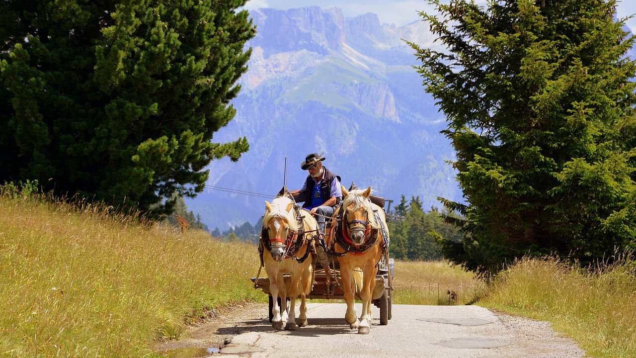 estate_giro_in_carrozza_trainata_cavalli_pixabay_pcdazero