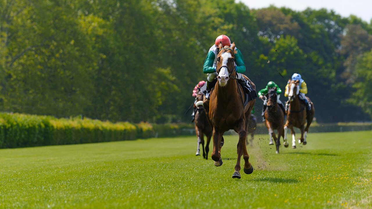 rettilineo_gara_di_corsa_a_cavallo_shutterstock