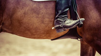 cavallo_pixabay_alexas_fotos