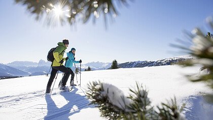 Cross-country skiing in Valle Isarco