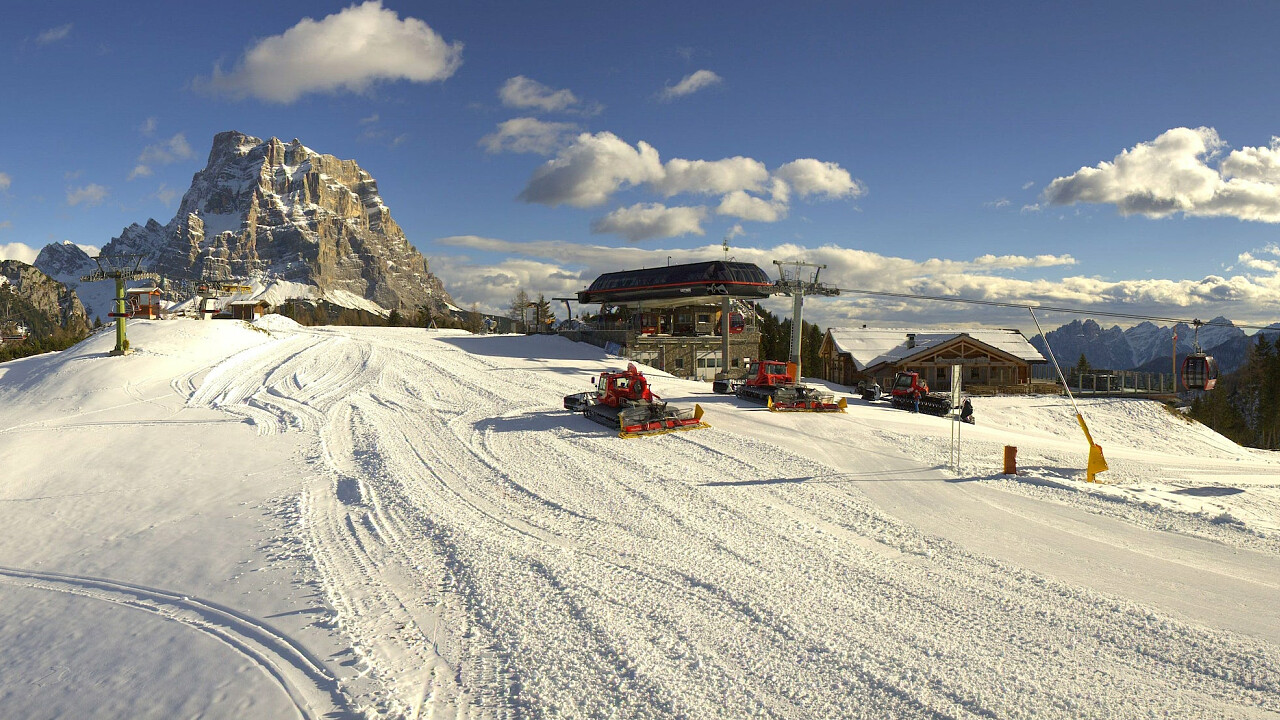 gatto_skiarea_civetta_alleghe_fotopanom